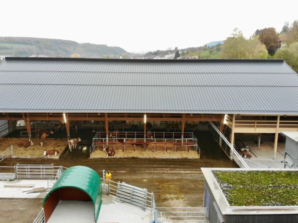 Alfoeldi FiBLStall Okt2020 647