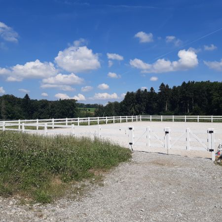 Neubau Boxenlaufstall mit Pferdeboxen   Meier Herbert   Muri 05