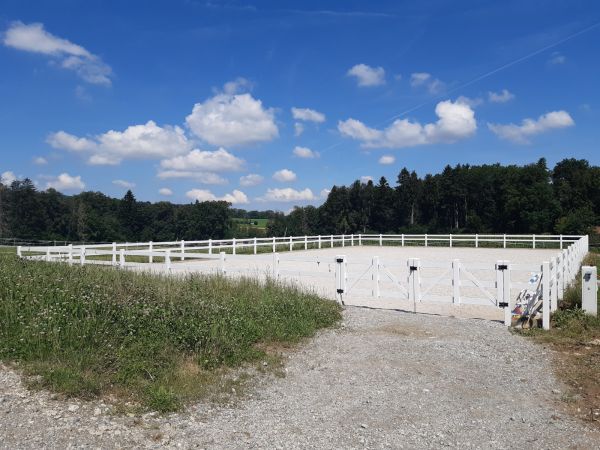 Neubau Boxenlaufstall mit Pferdeboxen   Meier Herbert   Muri 05