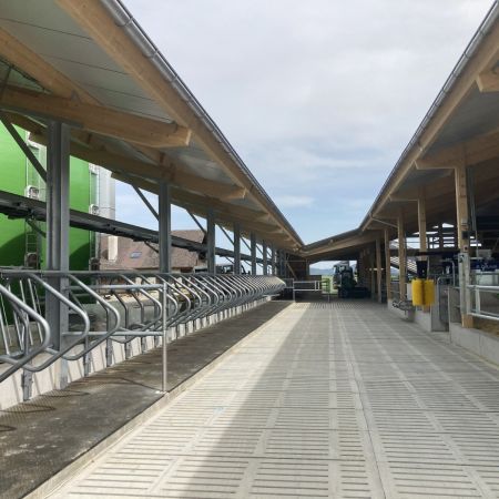 Dommen Wittnau Milchviehstall Laufgang