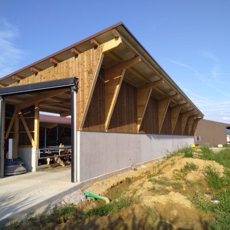 Neubau Rindviehmaststall Remigen