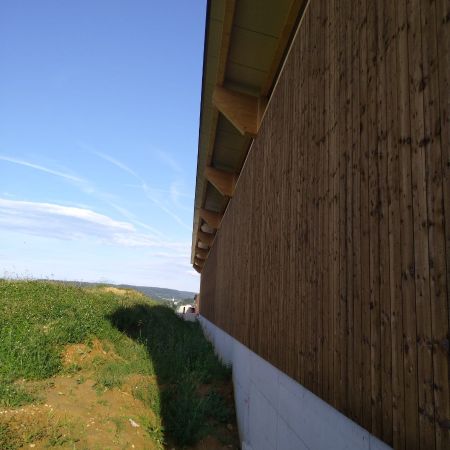L  uchli Remigen Neubau Rindviehmaststall Wand